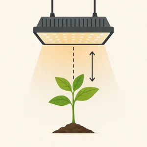 فاصله مناسب لامپ رشد گیاه بر حسب توان لامپ