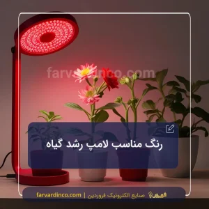 لامپ رشد گیاه باید چه رنگی باشد